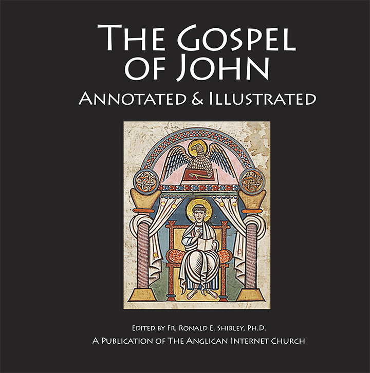 Gospel of John-Cover-144.jpg